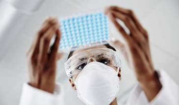doctor looking at test results